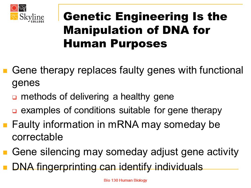 An overview of the human genome project and the advances of gene therapy
